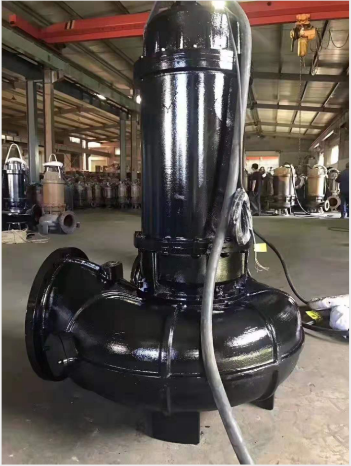 防汛工作要做好，威滬水泵不能少