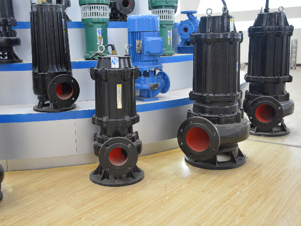 怎么保養(yǎng)和維護排污泵